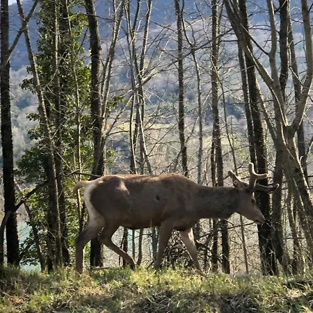 Casa Val Di Rose Сasa de vacaciones