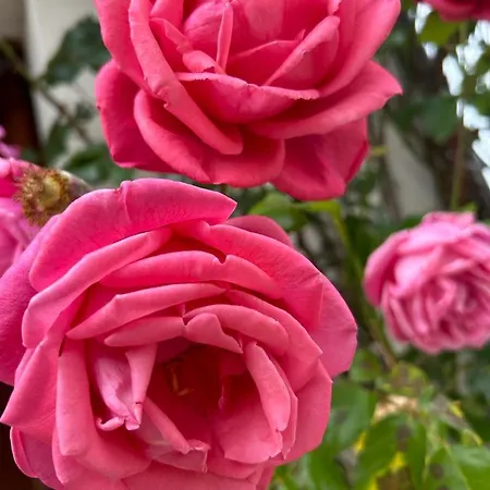 Casa Val Di Rose Civitella Alfedena