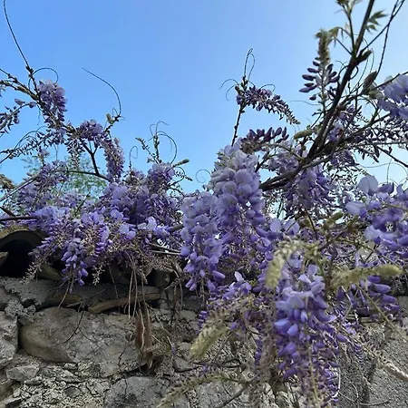 Casa Val Di Rose 奇维泰拉阿尔费德纳