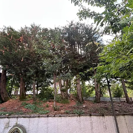 Casa Val Di Rose * 奇维泰拉阿尔费德纳