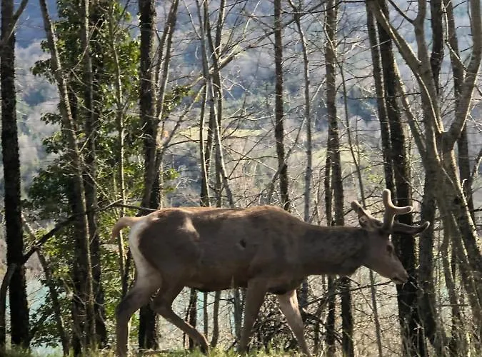 Casa Val Di Rose 펜션