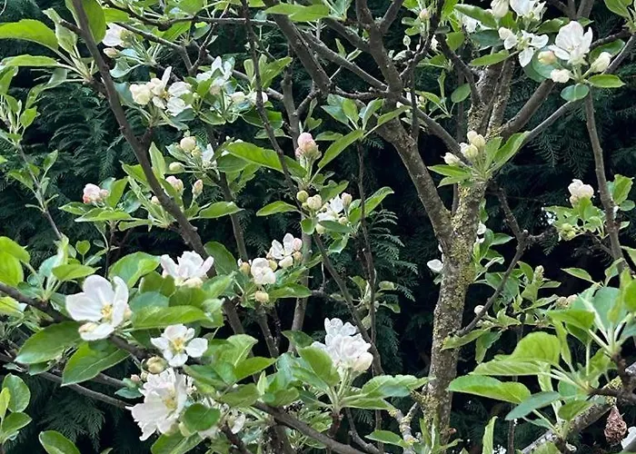 펜션 Casa Val Di Rose *