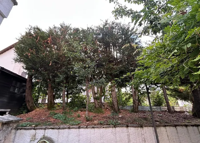 Casa Val Di Rose * 치비텔라 알페데나